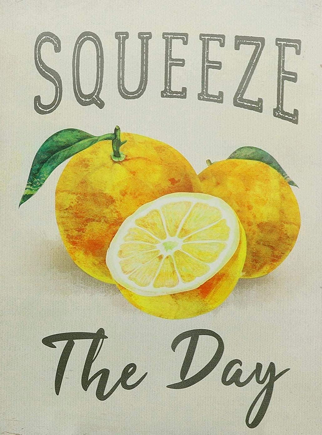 Home Bar And Coffee - Starotore Squeeze The Day Vintage Metal
